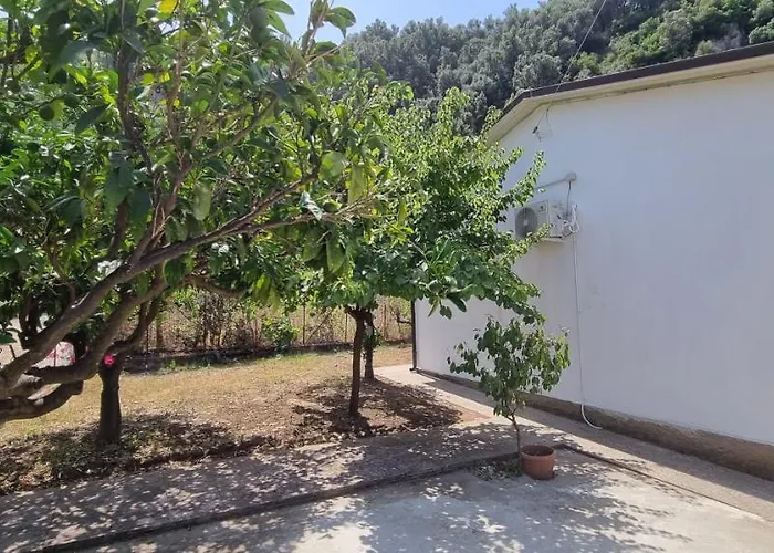 住宿加早餐酒店 Rosetta - 帕尔米